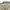 Thruxton Vintage Casual T-shirt Pria tan khaki photo 4