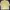 Carhartt Casual Parka Pria yellow photo 2