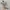 Nike Streetwear Grunge Sneakers Pria silver gray photo 1