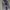 T Buc Sportswear Windbreaker Pria navy gray photo 2