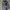 T Buc Sportswear Windbreaker Pria Navy Gray