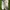 Nike Air Jordan Skater Sportswear Sneakers Pria white photo 2