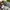 Nike Air Jordan Skater Sportswear Sneakers Pria white photo 4