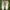 Nike Air Jordan Skater Sportswear Sneakers Pria white photo 3