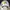 Vintage Y2K Hat Wanita white photo 5
