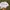 Vintage Y2K Hat Wanita white photo 4