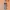 Streetwear Casual Summer dress Wanita multicolor photo 1