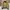 Y2K Casual Harrington jacket Pria black photo 3