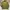 Y2K Casual Harrington jacket Pria green photo 2