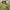Y2K Casual Harrington jacket Pria green photo 4