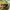 Y2K Casual Harrington jacket Pria green photo 5
