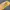 Vintage Y2K Hat Pria yellow photo 3