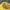 Vintage Y2K Hat Pria yellow photo 4
