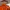 Y2K Gorpcore Windbreaker Pria orange photo 5