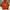 Y2K Gorpcore Windbreaker Pria orange photo 3