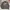 Uniqlo Y2K Casual Windbreaker Pria black gray photo 4