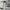 Polo Ralph Lauren Vintage Y2K Sweater Pria white photo 8