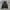 Le Coq Sportif Minimalist Windbreaker Pria black photo 1