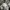 Streetwear Casual Sweatshirt Pria gray photo 8