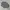 Streetwear Casual Sweatshirt Pria gray photo 2
