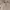 Polo Ralph Lauren Casual Polo shirt Pria tan cream photo 2
