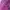 Luxury Evening dress Wanita purple photo 3