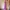 Luxury Evening dress Wanita purple photo 1