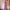 Luxury Evening Dress Wanita Purple