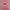 The North Face Gorpcore Sportswear Jersey Wanita pink photo 1