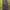 Casual Muslim Wanita purple photo 1