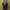 Casual Muslim Wanita purple photo 1