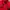MLB Sportswear Track jacket Pria red photo 2