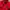 MLB Sportswear Track Jacket Pria Red