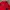 MLB Sportswear Track jacket Pria red photo 3