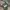 Streetwear Y2K Bag Pria green photo 3