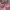 Casual Muslim Wanita pink photo 2