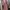 Casual Muslim Wanita pink photo 1