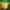 Adidas Streetwear Y2K Track jacket Pria green yellow photo 6