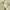 Cotton On Fairy Casual Midi dress Wanita yellow photo 1