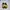 Casual Sneakers Pria black yellow photo 5