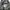 Adidas Y2K Casual Track jacket Pria green gray photo 3