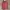 Yves Saint Laurent YSL Luxury Casual Harrington jacket Pria burgundy white photo 1