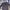 The North Face Gorpcore Casual Track jacket Pria black photo 3