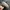 Japanese Brand Vintage Casual Hat Pria Cream