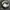 Japanese brand Y2K Casual Hat Pria tan photo 4