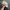 Japanese brand Y2K Casual Hat Pria tan photo 1
