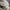 Japanese brand Y2K Casual Hat Pria tan photo 6