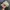 Japanese brand Y2K Casual Hat Pria tan photo 3