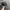 Japanese brand Vintage Y2K Hat Pria gray photo 1