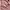 Minimalist Kids pink photo 5